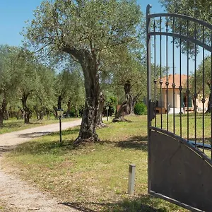 Bed & Breakfast Welcomely - Country Olivar