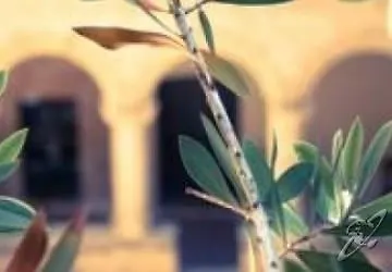 San Francesco Heritage Hotel Alghero